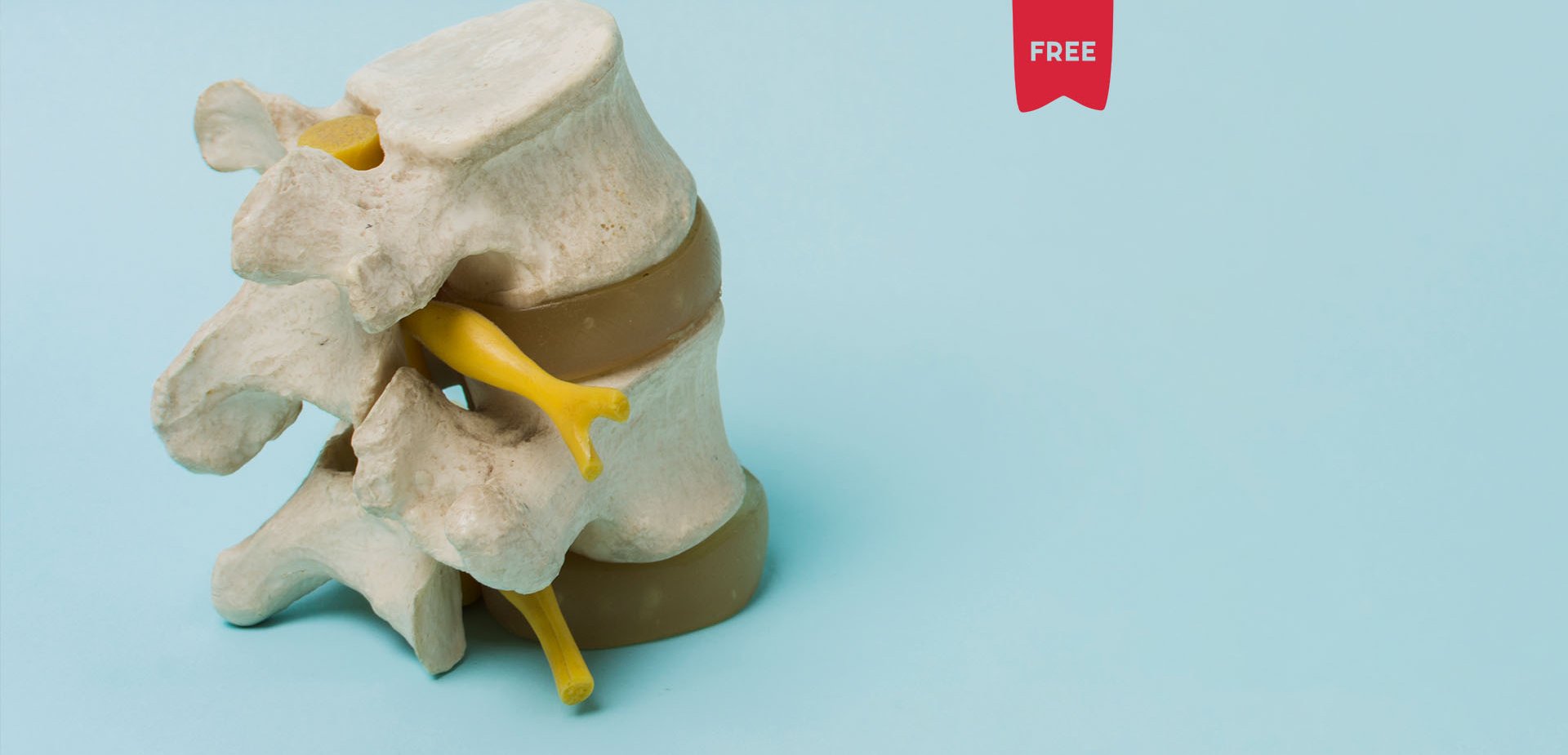 Tutorial para manipulao vertebral: Tcnica Articular para a Sacroilaca 