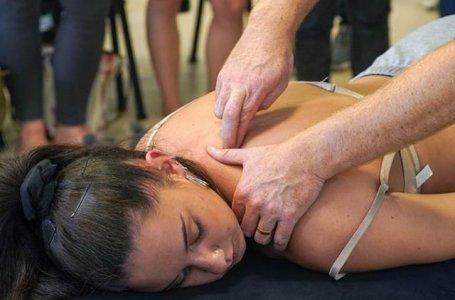 Memria fascial e o papel da fscia na coordenao escapular