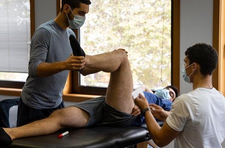 Curso Online: Modelo de Avaliao em Fisioterapia Msculo-Esqueltica