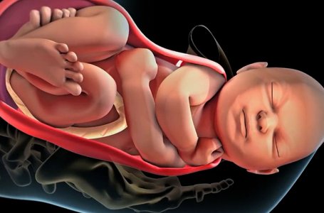 Curso Online: Fisioterapia Plvica - O essencial para o Fisioterapeuta